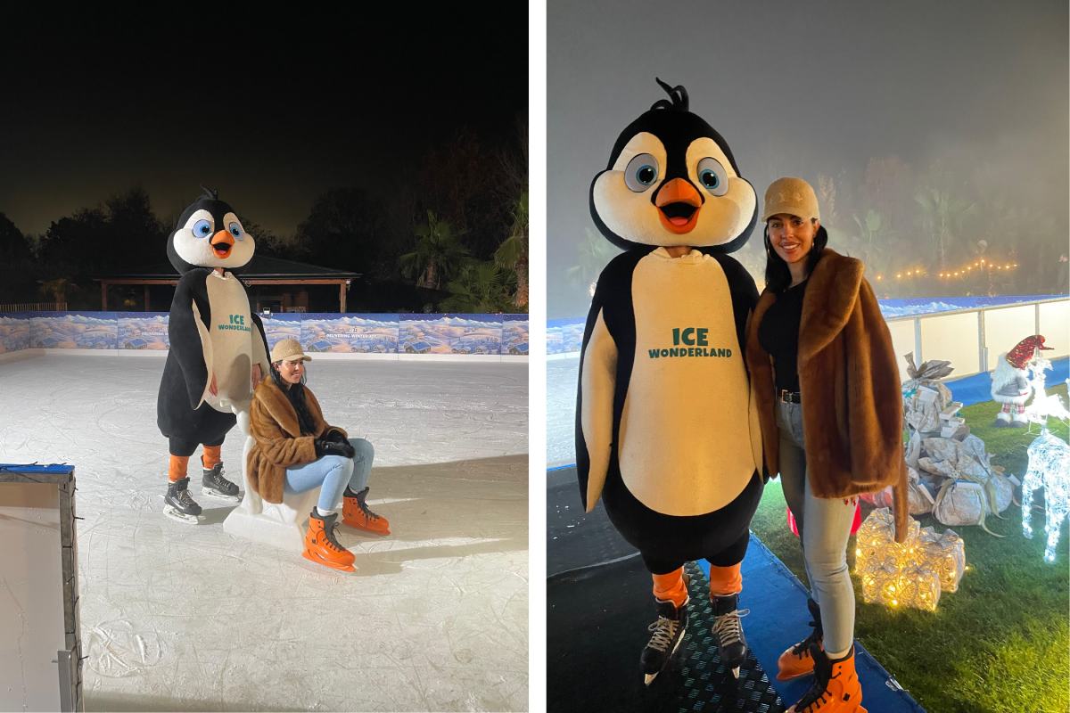 Ice Wonderland private ice rink for Christiano Ronaldo